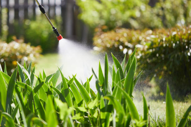 24/7 Emergency Ant Control experts in Sauk Centre, MN